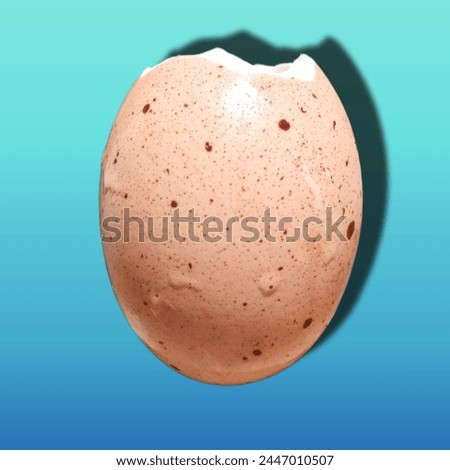 image of an egg with the top shell missing