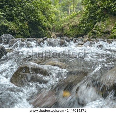 Photo of the beauty of the river in the center of the forest. 