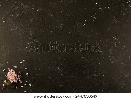 A midnight blackboard adorned with pink flowers, resembling a starry night sky. The contrast of colors creates a beautiful astronomical object in a sciencethemed event font Royalty-Free Stock Photo #2447030649
