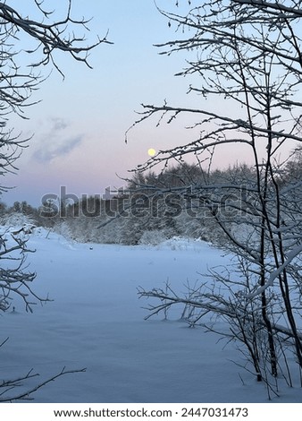 Winter landscape - a snow-covered lake with beautiful trees, covered with winter forest ,beautiful sky and nice moon so amazing views comfortable and wonderful at wonderland