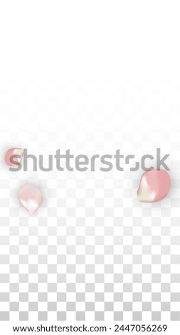 Pink Vector Realistic Petals Falling on Transparent Background.  Spring Romantic Flowers Illustration. Flying Petals. Sakura Spa Design. Blossom Confetti. Design Elements for  Wedding Decoration.