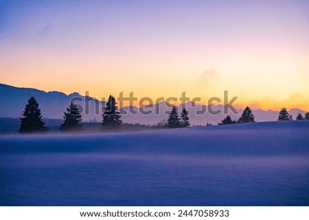 winter, winter wonderland, landscape, nature, forest, trees, river drone