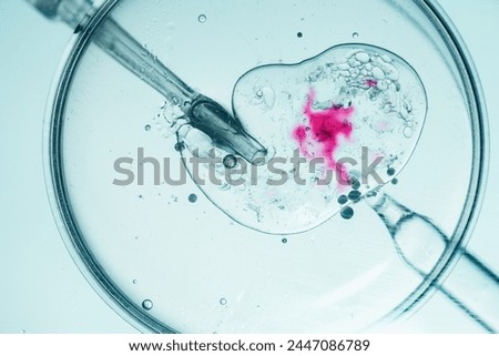 Close-up of in vitro fertilization in a petri dish Royalty-Free Stock Photo #2447086789