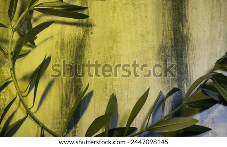 Olive branch on a grunge background. Symbol of peace and victory associated with customs of ancient Greece