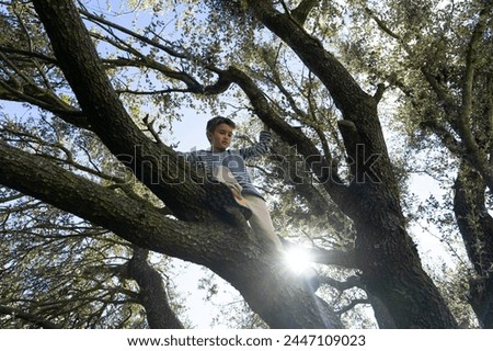 8 year old Caucasian boy climbing a tree