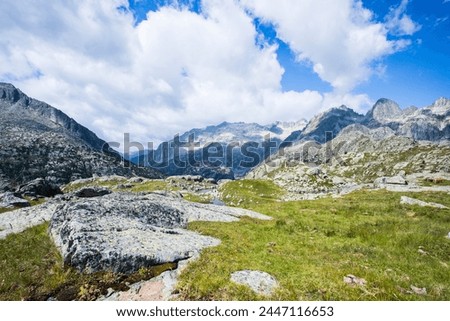 Summer landscape in Vall de Boi, Aiguestortes and Sant Maurici National Park, Pyrenees, Spain