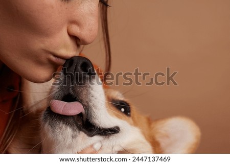 Girl kisses the nose of a Welsh Corgi dog close-up, love of animals concept