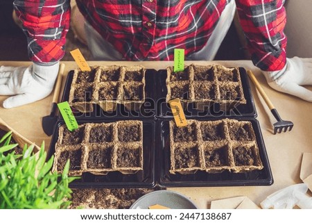 Woman's hands plant seeds at home. Home gardening, hobbies and agrarian life during lockdown. The concept of ecological and plant economy. Earth Day. Royalty-Free Stock Photo #2447138687