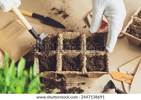 Woman's hands plant seeds at home. Home gardening, hobbies and agrarian life during lockdown. The concept of ecological and plant economy. Earth Day. Royalty-Free Stock Photo #2447138691