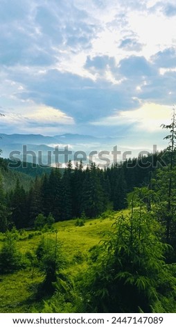 landscape in the mountains, forest, silhouettes of mountains, travel, in green tones, travel, Carpathian mountains, hiking in the mountains, poster, wallpaper, cover, summer, scenery Royalty-Free Stock Photo #2447147089