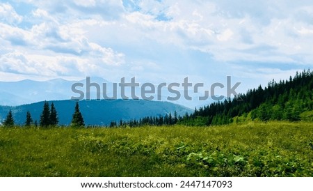 landscape in the mountains, forest, silhouettes of mountains, travel, in green tones, travel, Carpathian mountains, hiking in the mountains, poster, wallpaper, cover, summer, scenery Royalty-Free Stock Photo #2447147093