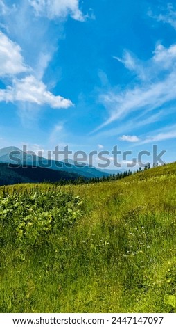 landscape in the mountains, forest, silhouettes of mountains, travel, in green tones, travel, Carpathian mountains, hiking in the mountains, poster, wallpaper, cover, summer, scenery Royalty-Free Stock Photo #2447147097
