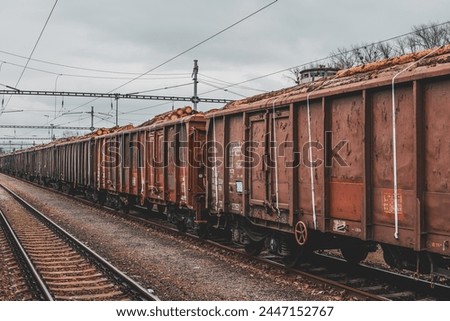 Timber on the freight train. Transportation and sustainable development theme. Spring foggy morning at the train station. Rail transport. Wagons laden with wood. Royalty-Free Stock Photo #2447152767