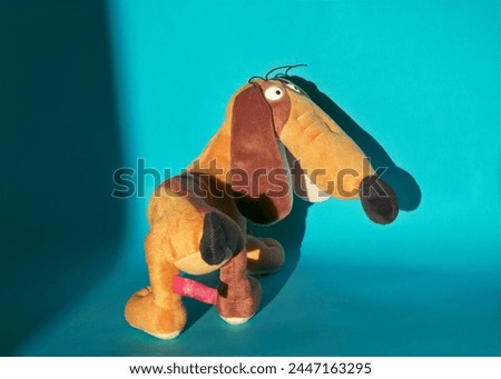 close-up of a half-turn soft toy of a funny light brown dachshund on a blue background with a shadow on the wall