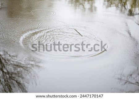 Circles on water, concentric curves, graphic image