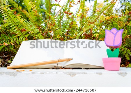 love letter on grass and diary in valentine day with vintage color tone