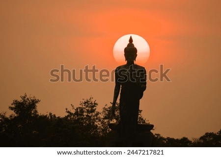 Stand big tall walk Buddha Statue in sun set Light background in park of thailand temple.Yellow orange light silhouette dark shadow of Buddha statue image Lord Buddha. Royalty-Free Stock Photo #2447217821