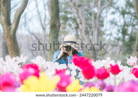 
A woman photographing a tulip field