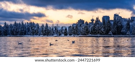Stanley Park | Vancouver | Canada through My Lens Royalty-Free Stock Photo #2447221699