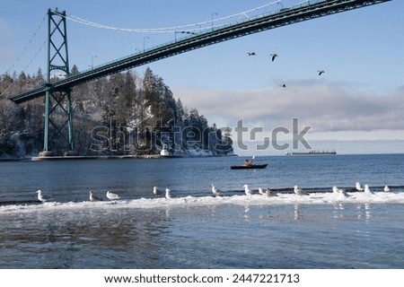 Stanley Park | Vancouver | Canada through My Lens Royalty-Free Stock Photo #2447221713