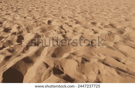 Beach picture of fine shallow sand in summer