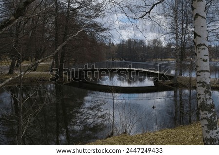 bridge, pond and trees in the park in early spring