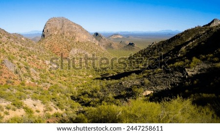 Arizona's Silverbell Mountain Peaks in the deserts around the towns of Marana, Oro Valley, and Tucson, with plants and cacti in view, in Pima County, with the Santa Catalina Mountains in view.