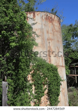 Old Rusted Water Tank covered with Creeping Vines.