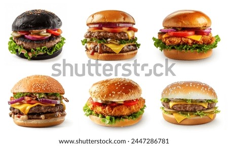 Various burgers menu. Double patty grilled burger, zinger burger, chicken burger, beef patty sandwich, black burger. Different varieties Burgers. 