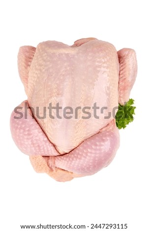 Raw whole chicken broiler, isolated on white background.