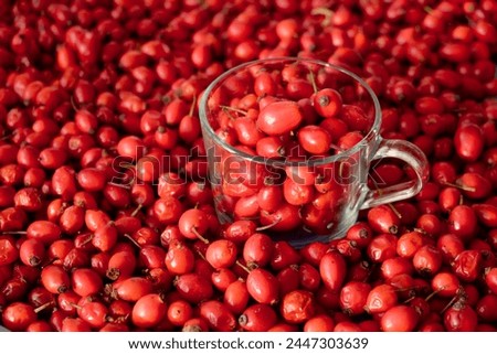 Rose hip or rosehip inside of the glass and over the table. Empty space for copy paste. Backgrounds and textures. Red vibrant colors. Cinematic. Wild fruits and healthy food. Royalty-Free Stock Photo #2447303639