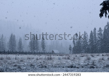 Mountain house in winter, covered with snow in snowfall 