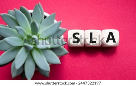 SLA - Service Level Agreement. Wooden cubes with word SLA. Beautiful red background with succulent plant. Business and Service Level Agreement concept. Copy space.