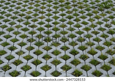 Openwork slab, driveway to the garage with grass between paving stones Royalty-Free Stock Photo #2447328153