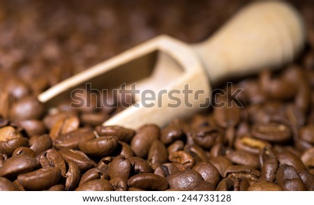 Coffee beans and small spoon / Coffee