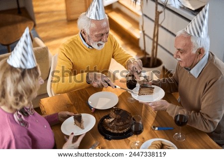 Group of cheerful senior friends having fun during a Birthday party at home	