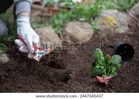 A girl plants flowers wearing white gloves.