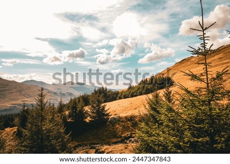 Scenic mountain range with a pine forest foreground, transitioning to dry yellow grass. Multiple peaks loom in the background, dreamy sky with clouds evoking a serene woodland atmosphere. 