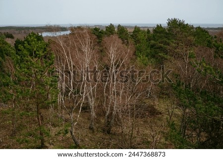 Picturesque photos of nature objects of the Curonian Spit National Park of the Kaliningrad region, Russia