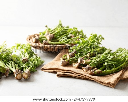 edible shoots of a fatsia Royalty-Free Stock Photo #2447399979