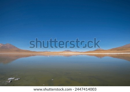 Laguna Colorada, Bolivia. The Red Lagoon, Sunny Day. Bolivia. Royalty-Free Stock Photo #2447414003
