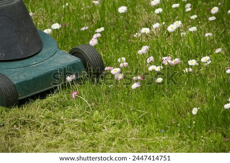 Electric lawn mower and dainty white and pink spring flowers in a green garden lawn in a low angle ground level view Royalty-Free Stock Photo #2447414751
