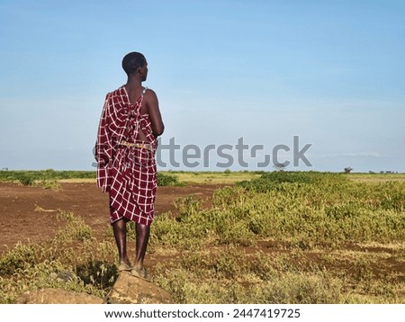Maasai warrior walks through the savannah. The Maasai are a Nilotic ethnic group of semi-nomadic people inhabiting southern Kenya and northern Tanzania. Royalty-Free Stock Photo #2447419725