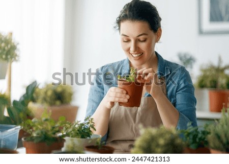 Woman caring for plants at home in spring day.