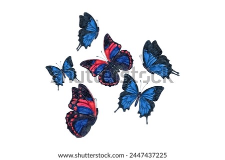 Experience the mesmerizing beauty of blue and black butterflies against a serene white backdrop. Let their graceful elegance adorn your designs!