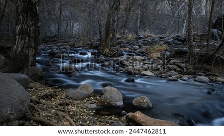 Nature with slow shutter speed