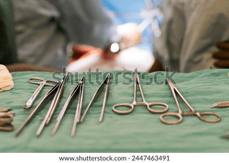 Sterile surgical instruments and tools including scalpels, scissors, forceps and tweezers arranged on a table for a surgery, Sterilized surgical instruments on the blue or green wrap	 Royalty-Free Stock Photo #2447463491