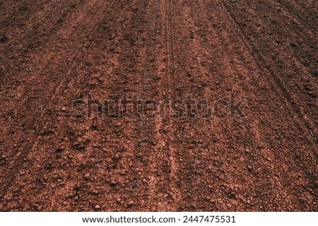 Texture of brown agricultural soil ready for tillage, diminishing perspective Royalty-Free Stock Photo #2447475531