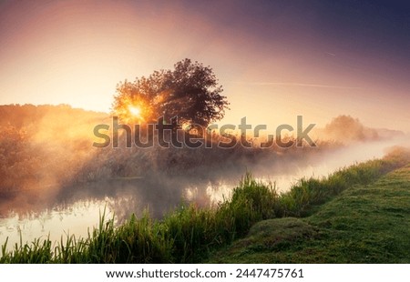Tranquil morning scene in summer on a river with fog. Location place Seret river, Ternopil. Ukraine, Europe. Ecology concept. Wonders of the world. Photo wallpaper. Discover the beauty of earth.