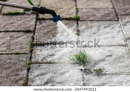 Weed Removing by Spraying Pesticides on Concrete Cobblestone. Weed Control on Paving Stones. Weed Killer Service.